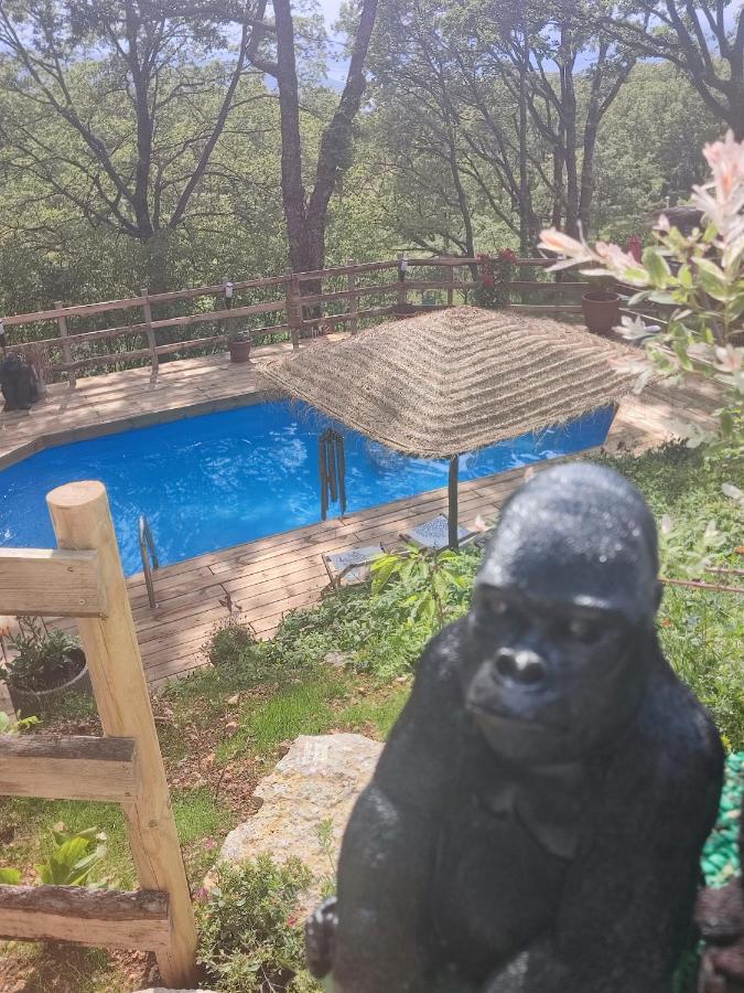 La Lyalis Bed & Breakfast Егин Екстериор снимка